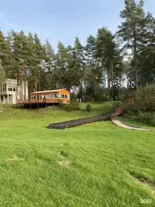 Ефимов бор - 25