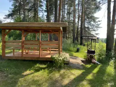 Ефимов бор - 5