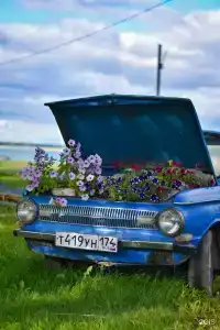 Русский остров - 36