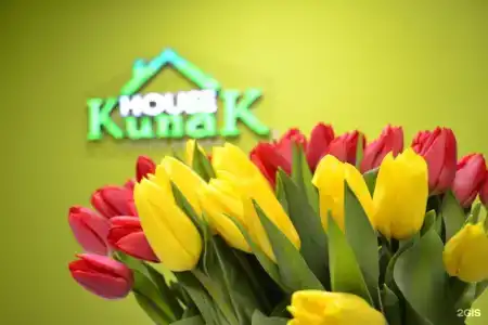 Кунак-Хаус - 19