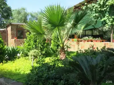 Добрый кит - 26