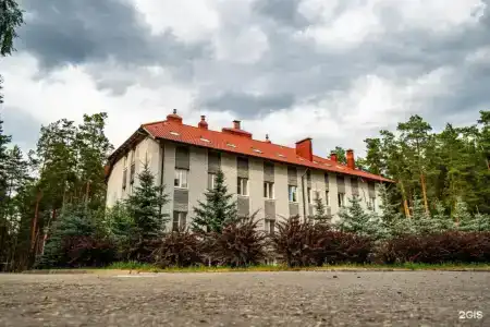 Русский лес - 1