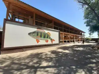 Fish Sense - 78