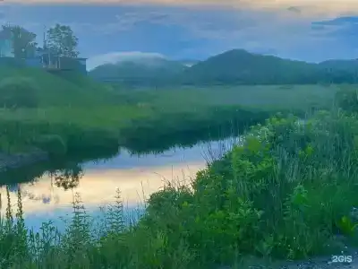 Красный кот - 15