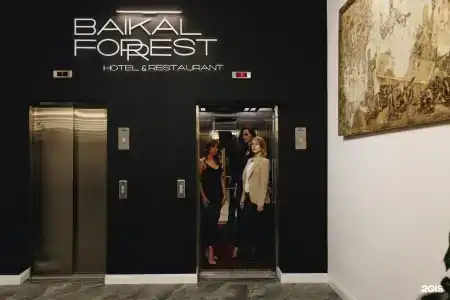 Baikal Forest - 92