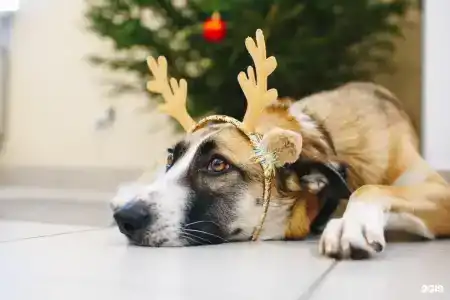 Дилижанс - 18