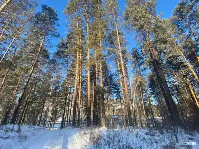 Тихий Берег - 98