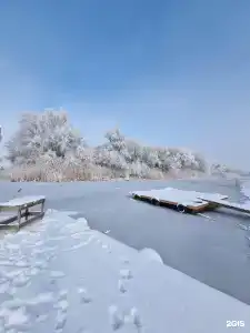 Fish Sense - 27