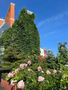 Ярославское подворье - 30