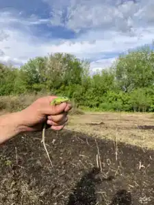 Прибой - 152