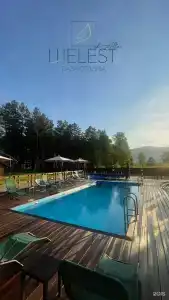 Шелест - 36