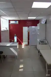 Химик - 33