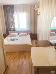 Самшит - 24