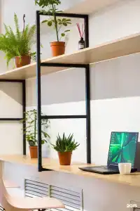 Primrooms - 21
