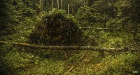 Туристический центр Национального Парка Валдайский - 88