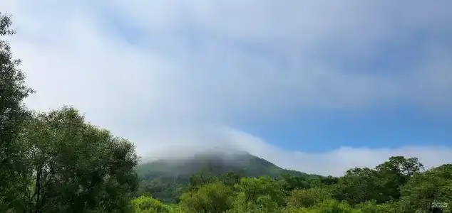 Красный кот - 70