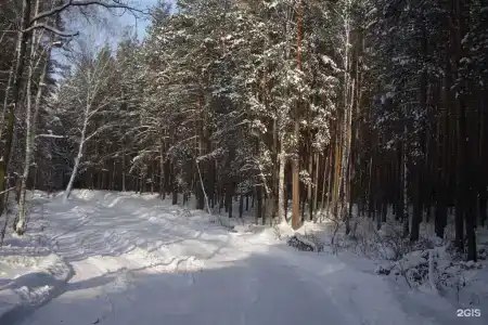 Ежи - 96
