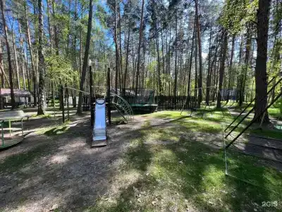 Ежи - 70