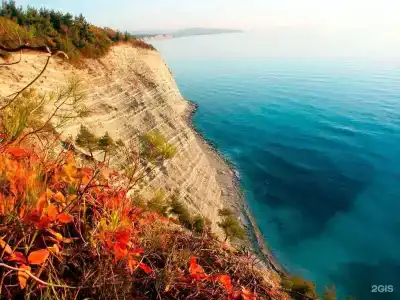 Афина - 24