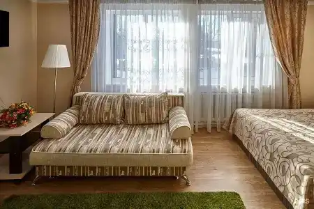Астра - 11