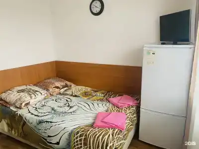 Светлана - 24