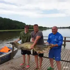 Радуга - 66