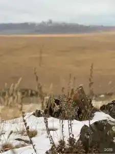 Этнодом Юрта - 68