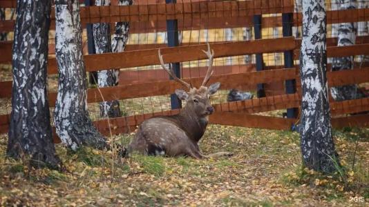 Парк-отель Застава - 27