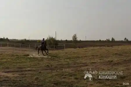 Загородный отель Konakoff в Сажино - 145