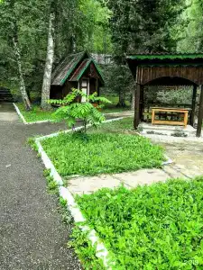 Шамбала Б - 41