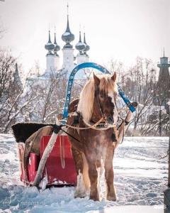 Вишнёвый Садъ - 9