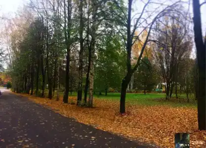 Зеленый Городок - 60