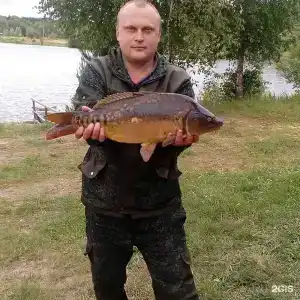 Литвиново - 177