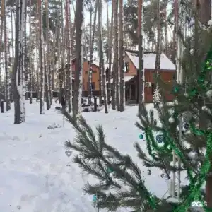 Аркадия - 65