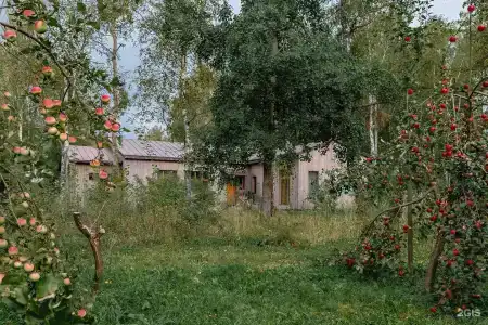 Чехов APi - 59