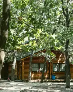 Дубровский - 34
