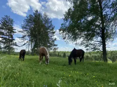 Верхнее Никольское - 25