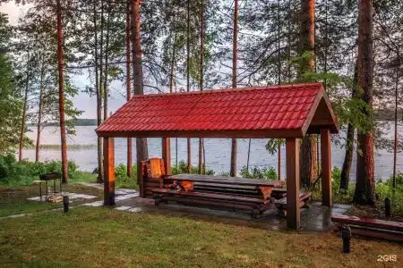Cosmos Karelia - 65