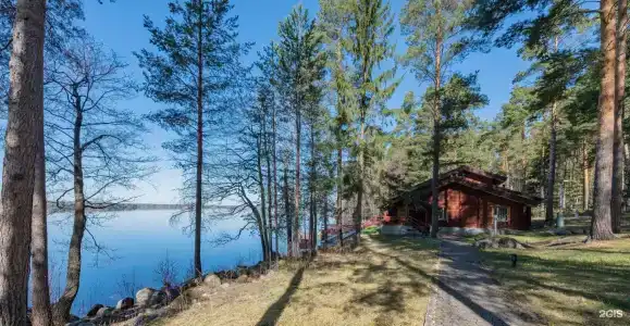 Cosmos Karelia - 16