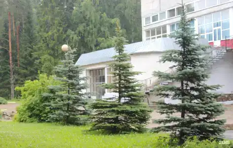 Пушкиногорье - 80
