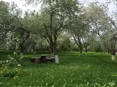 Дубки - 73