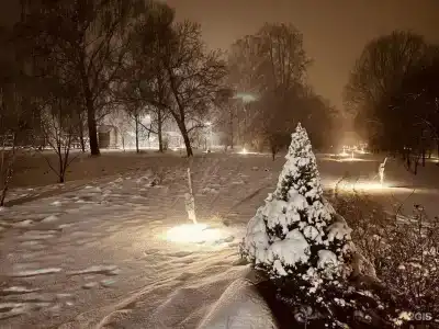 Дубки - 83