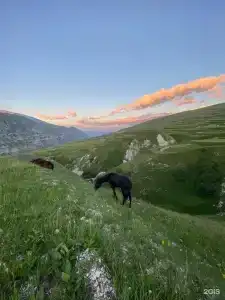 Старый Сивух - 17
