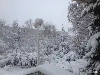 Оскар - 121