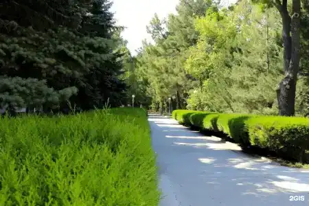 Родник - 21
