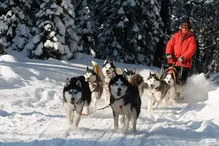 Загородный клуб VALDAY HUNTING & COUNTRY CLUB - 63