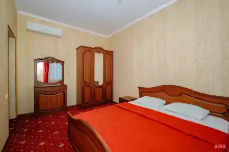 Кипарис - 100