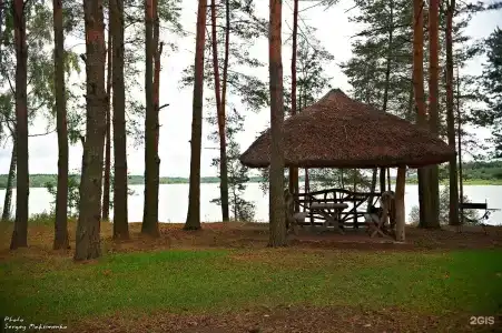 Борвиха - 37