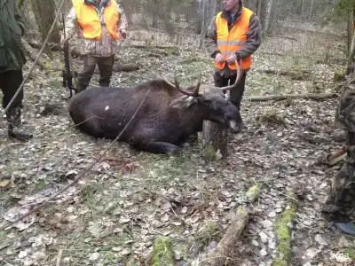 Загородный клуб VALDAY HUNTING & COUNTRY CLUB - 180