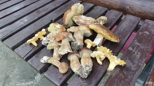 Настасьино Хуторок - 33